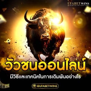 วัวชน