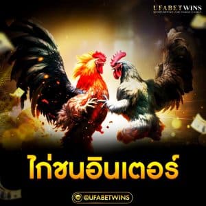 ไก่ชนอินเตอร์