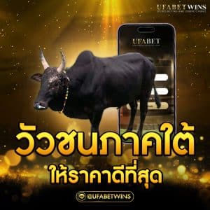 วัวชนภาคใต้